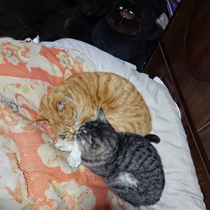 C0076ffb 0373 41f7 8986 d8aa3a6ebced 1584713040537