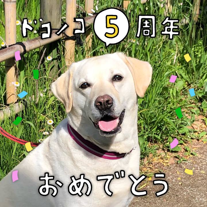 C00793fc 962b 47ac 94a1 50a453f82cca 1622864631681