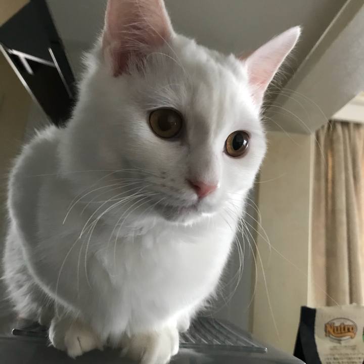 C0079887 7e10 4bbe aacd d72b745fd3c6 1515541428808