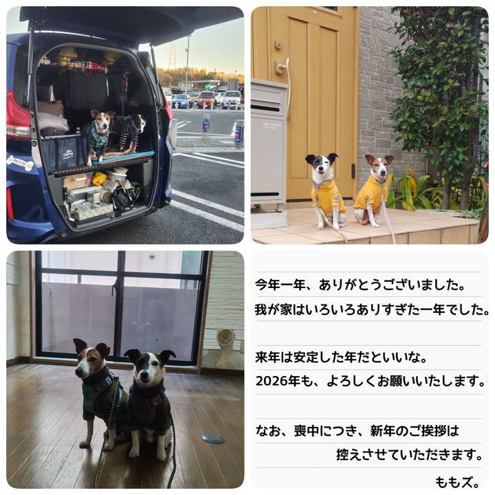 C0079c5f 1984 47c6 a2f0 63d78025373e 1767171523070