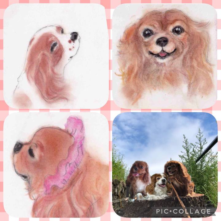 C007afbf 052f 445f a614 820e5aa2ca3f 1631744436620