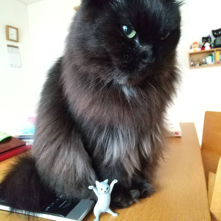 C007c616 2f12 40af ae18 75d6abc0b69b 1609111818357