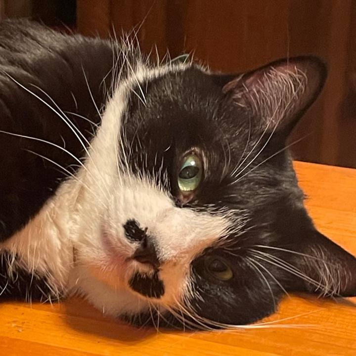 C0082569 b501 4209 bcf6 c74eec12161a 1718277756334