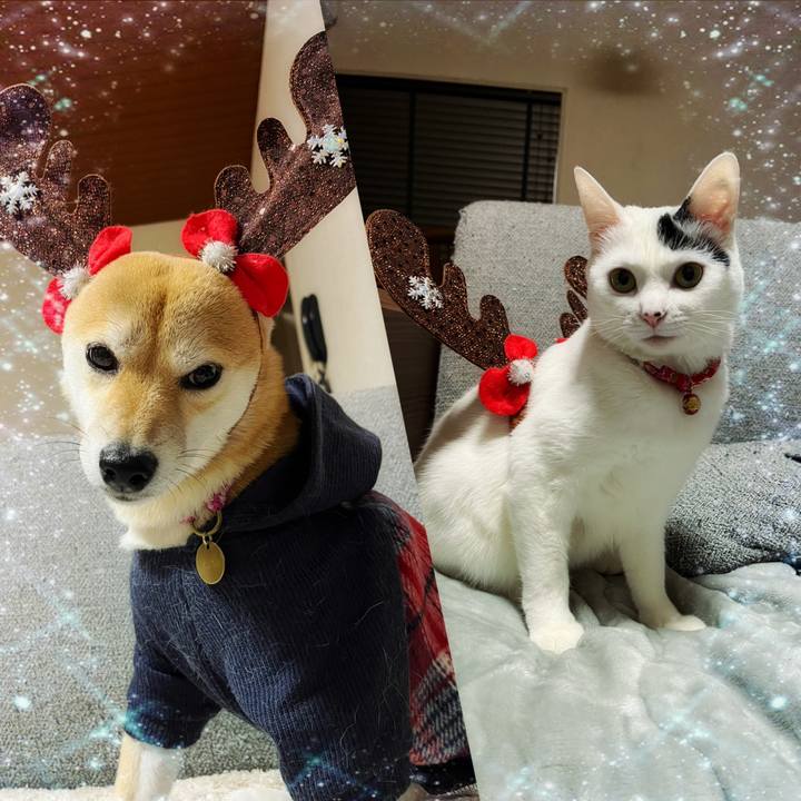 C00834e0 b860 4a73 a727 c5917276590e 1703505418319