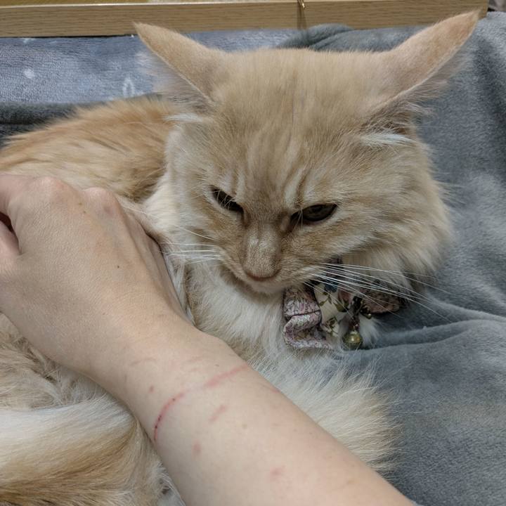 C008466c 26b3 4e5a 9d5c 3d3748276add 1769242515622