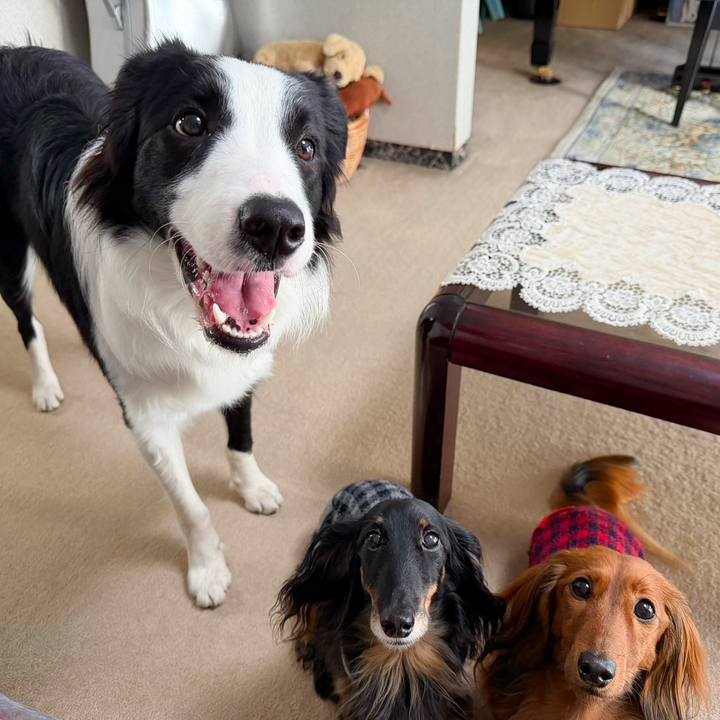 C0085a48 7222 450d b8f2 03d2dabceb6c 1768714646844