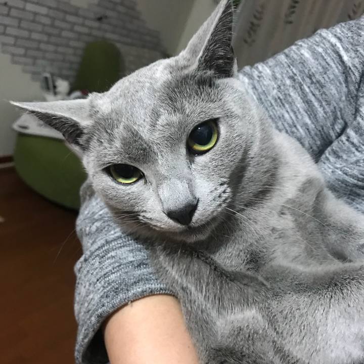 C0089941 01b4 451e 97cf 5e3834b353f3 1521204444316