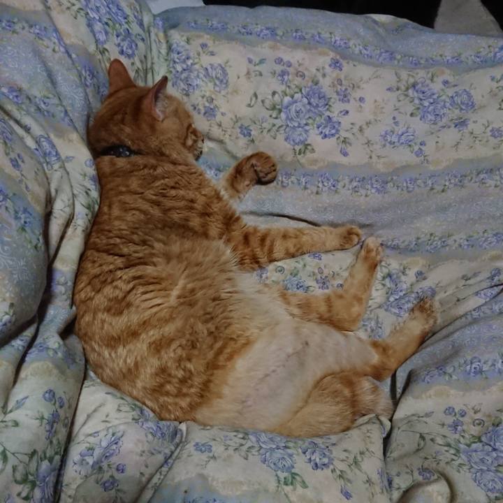 C008a109 0644 44e6 bbb1 e0f35a7c0fd2 1656333320150