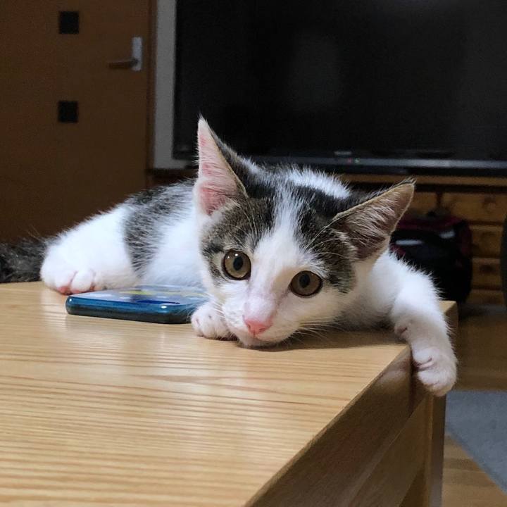 C008a431 f98d 4ad0 9299 ce6ac0655e6e 1563282665506