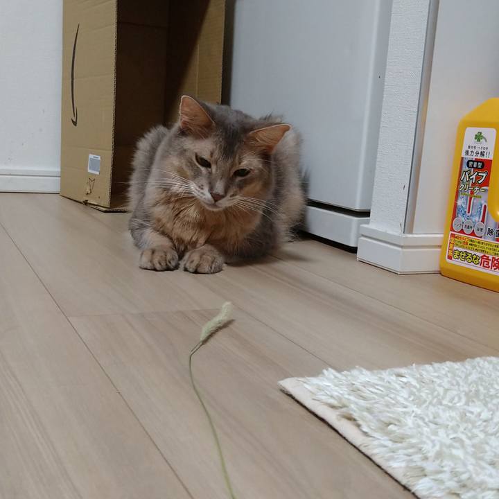 C008c20f db6b 4967 88f3 0ba55e11c65a 1600494089542