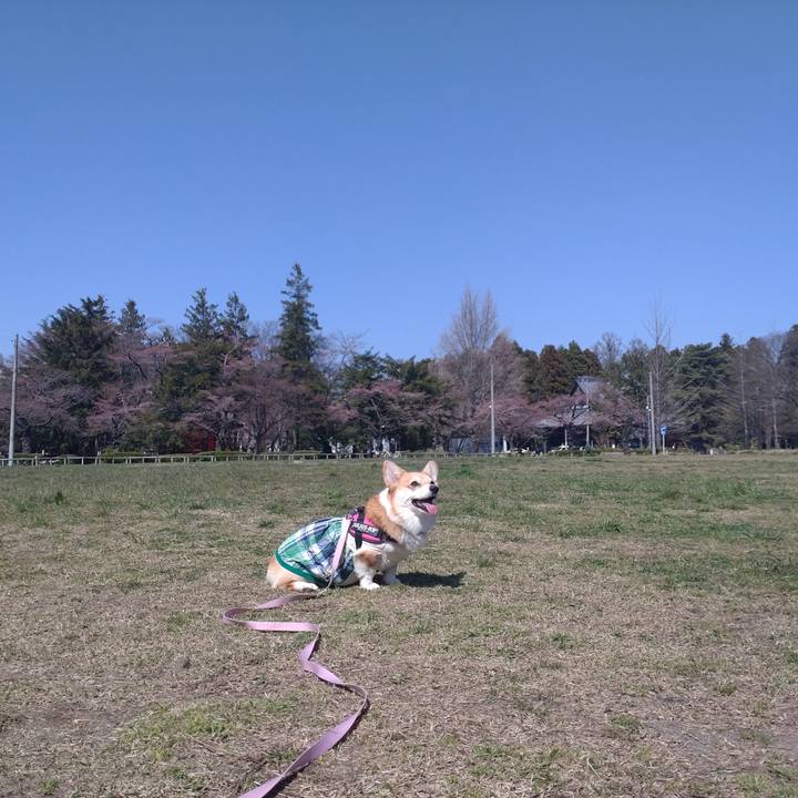 C009042e dd19 438a a6fa 25586d327035 1649510592468