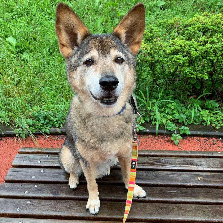 C0090dab ac15 4468 8290 5e775a89c7a8 1563706820692