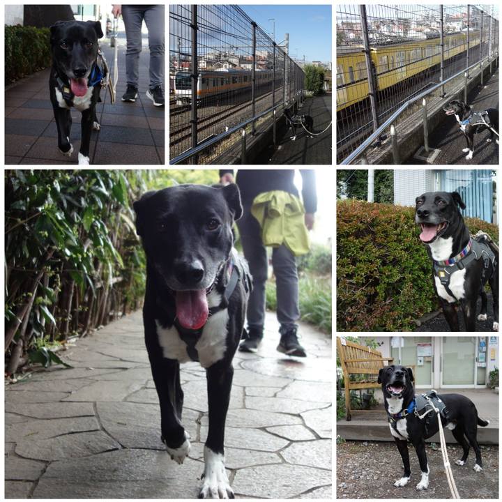 C009219e 068c 4281 95e0 66ccf9982400 1648342905183