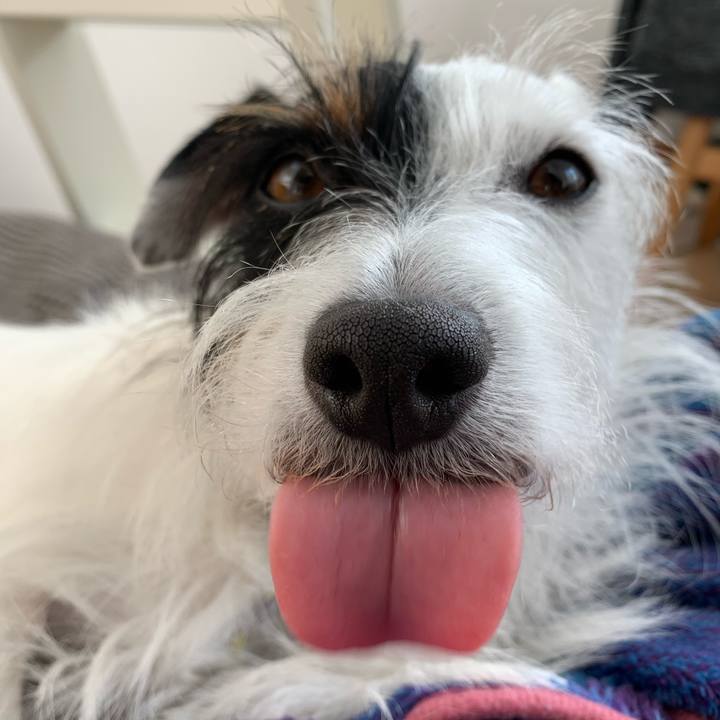 C009414d 79d9 438d 9c77 ff8b2ea72fb3 1574652842638