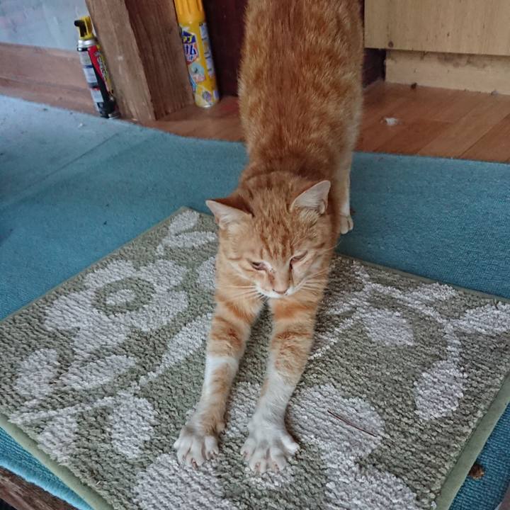 C0094ac3 6dd3 4754 b506 926c921313c7 1559126198114