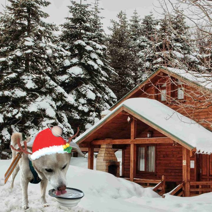 C00975b2 8fb2 4013 9c23 83082fc10072 1735105102930