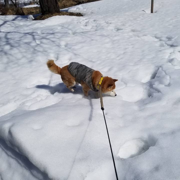 C00985f3 1bcb 4f54 be1d a51525ae091f 1678074615774