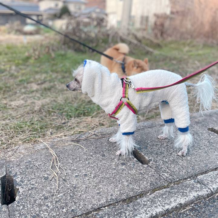 C0099241 6879 4813 844d e278864a5765 1765366436751