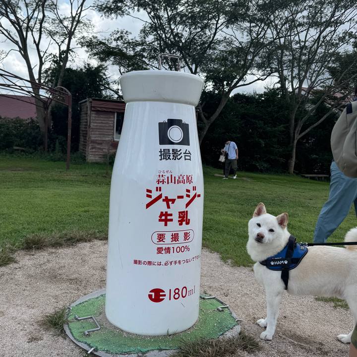 C009b904 5bd5 4670 b556 198f2f08ac9c 1758858626638