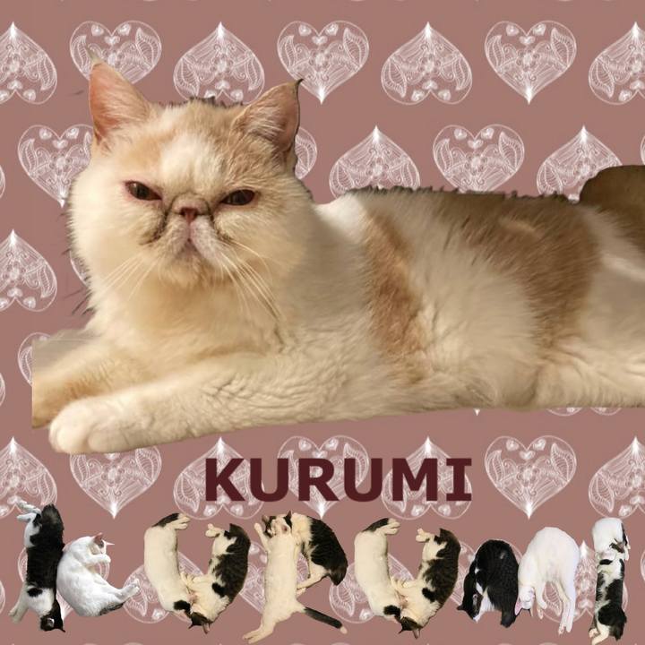 C00a0da9 7cd9 43aa 98a7 b1c094b6e716 1667791187502