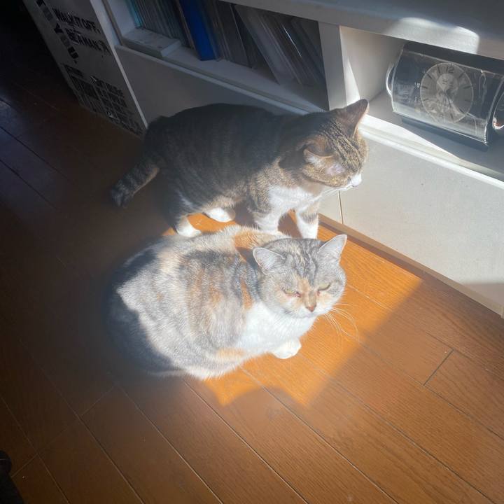 C00a5311 044c 48e3 9b92 5ec577408955 1738985313199