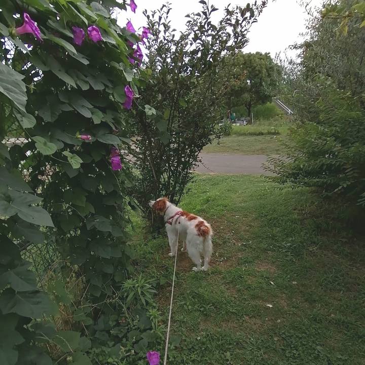 C00a8727 01e5 4fb4 8015 5ceea2c215ae 1593428814479