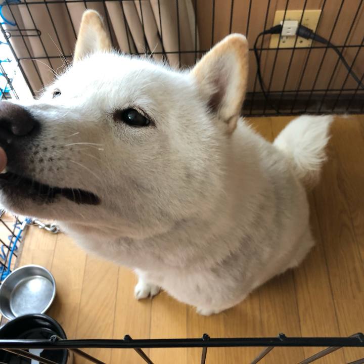 C00ab0a1 006d 43a5 9ec8 9d4e761e8a40 1556674631307