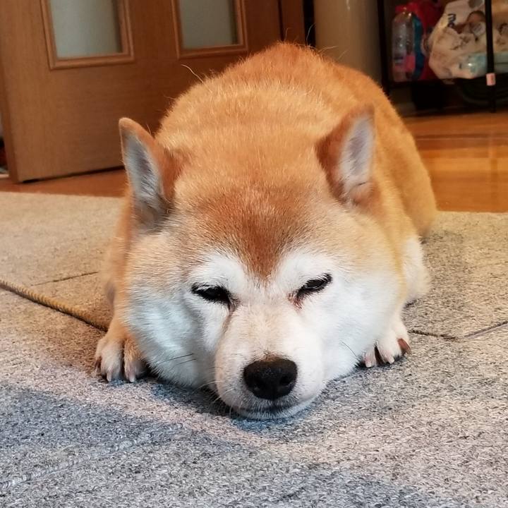 C00ad72b a89d 41e2 b426 bcde579bb5df 1594023703219