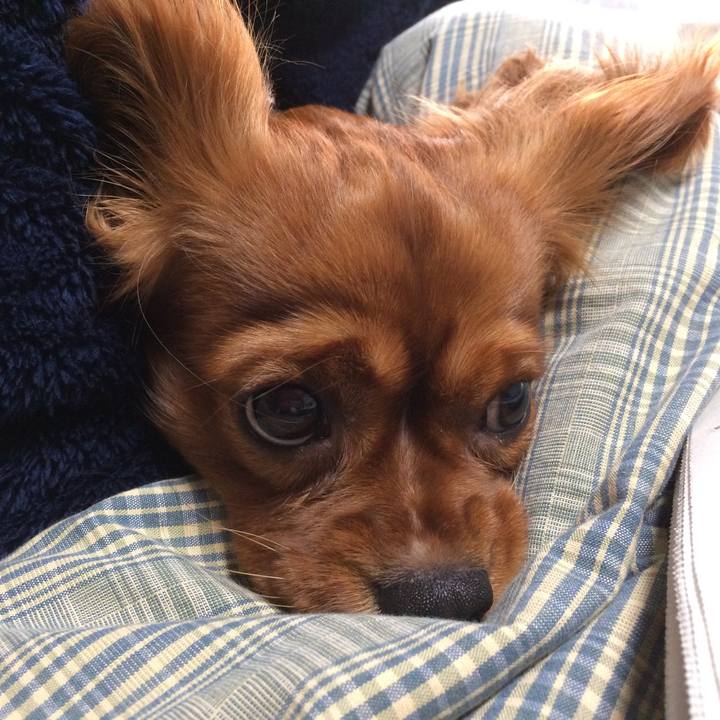 C00adbd2 5dae 4ad8 88fb 266f60a0d27b 1517006062113