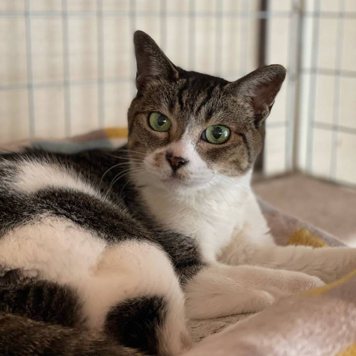 C00af6ea 59f6 4cd4 9763 ad466d889eeb 1658877991213