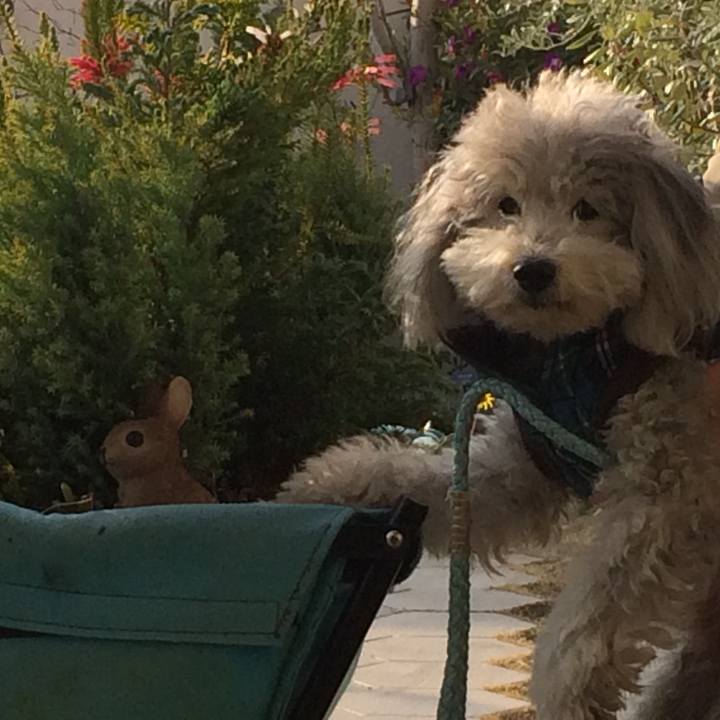 C00b23c8 c416 4dd0 abcb 8ec13f556756 1513414183144