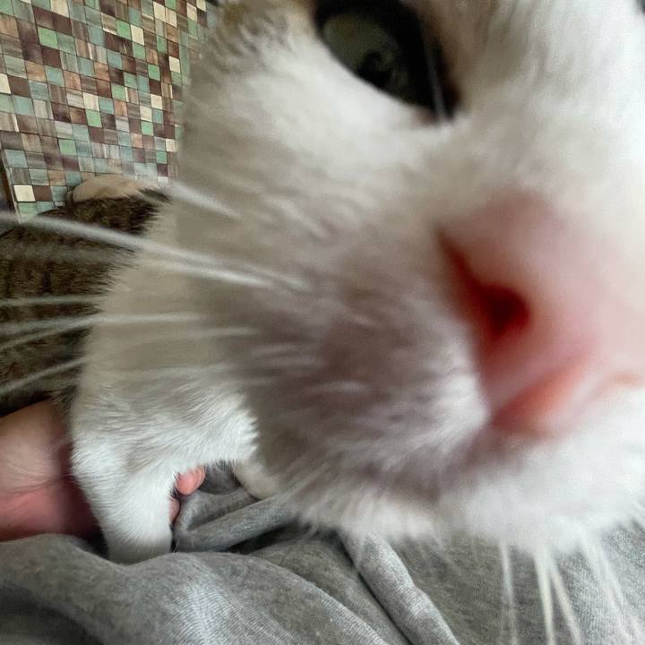 C00b3df2 363f 48dd a8c5 80e4d4bda5ee 1635208741775