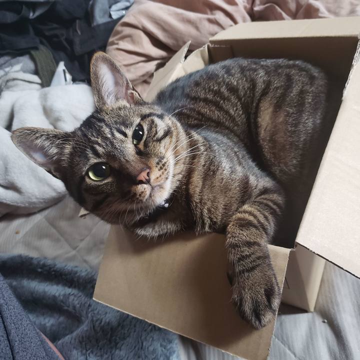 C00b6a6c 932a 49ea 9513 f6ca35ea10a5 1589070582035