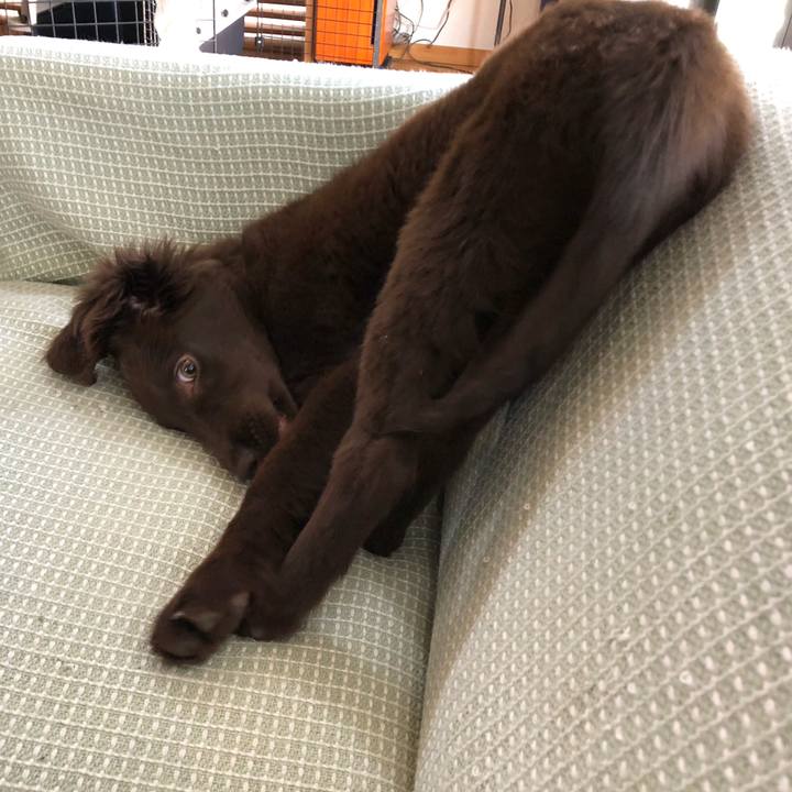 C00b90f6 e578 4d06 bf4f 7faef97ebf82 1554452196107