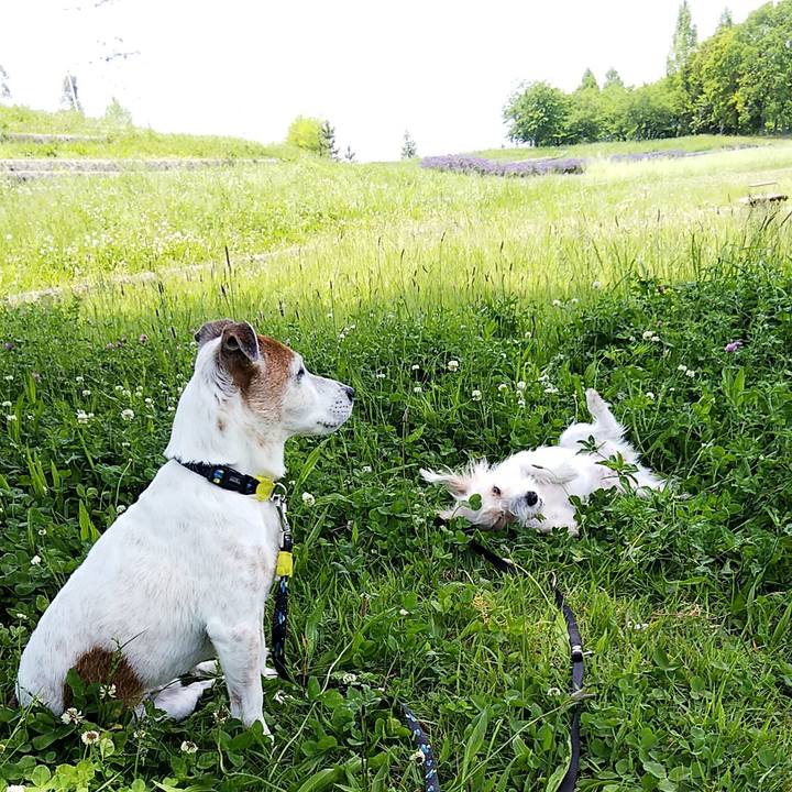 C00b9219 2152 4fb4 9fe0 5c7900a37b8f 1557636599951