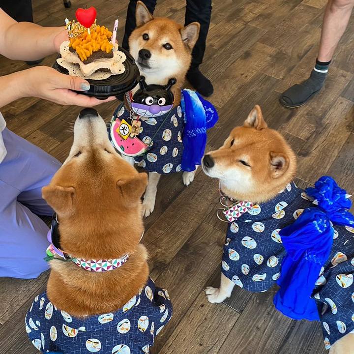 C00b9f8a 33b8 46be b196 ba0c6810a9ca 1692931311296