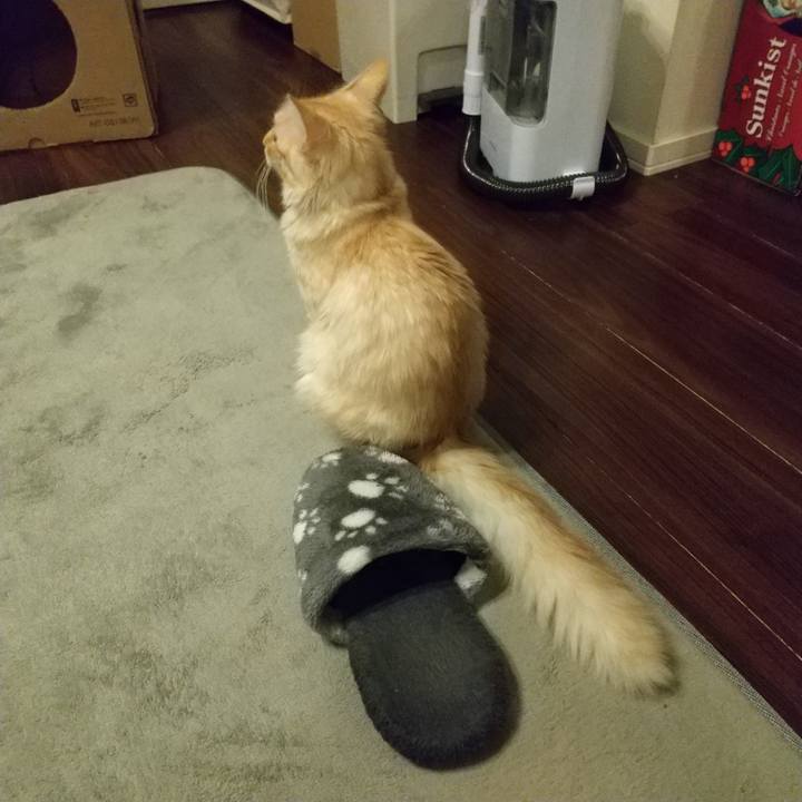 C00bb88a 7f2f 4801 83ed a3d2f7cb9a69 1612180210692