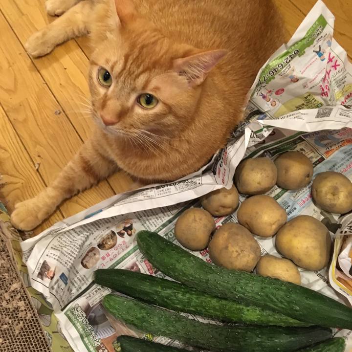 C00bb961 c072 418f bfe6 c06b407b3949 1562404359795