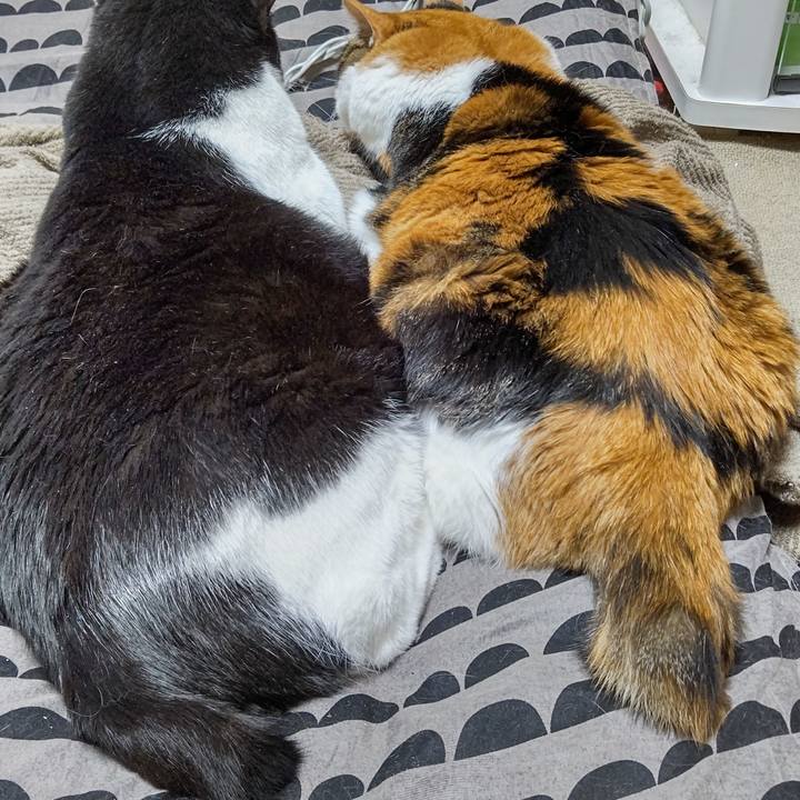 C00bccb8 0773 4429 aacd 408f18ecf53b 1630212895708