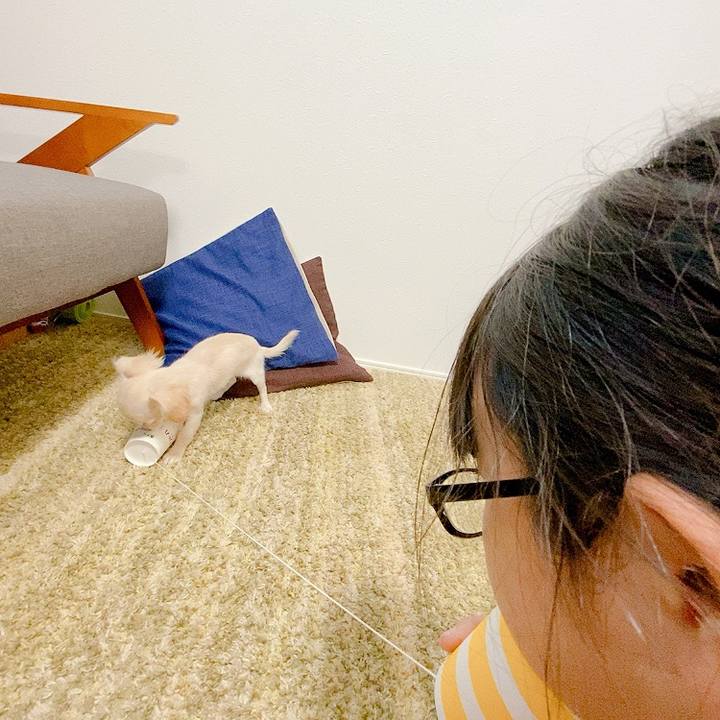 C00c2746 b844 4ccf b651 31fa5c663270 1592385337291