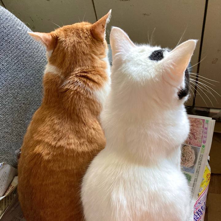 C00c29f0 7228 4d72 94ac 36b82124c123 1697778258712