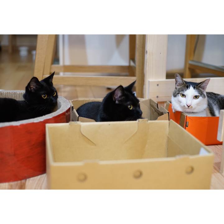 C00c39d8 ac6e 4161 a483 3074971130df 1526912242969