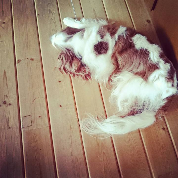 C00c54f2 d22b 4c92 ac71 c553a0d90e51 1531698737891