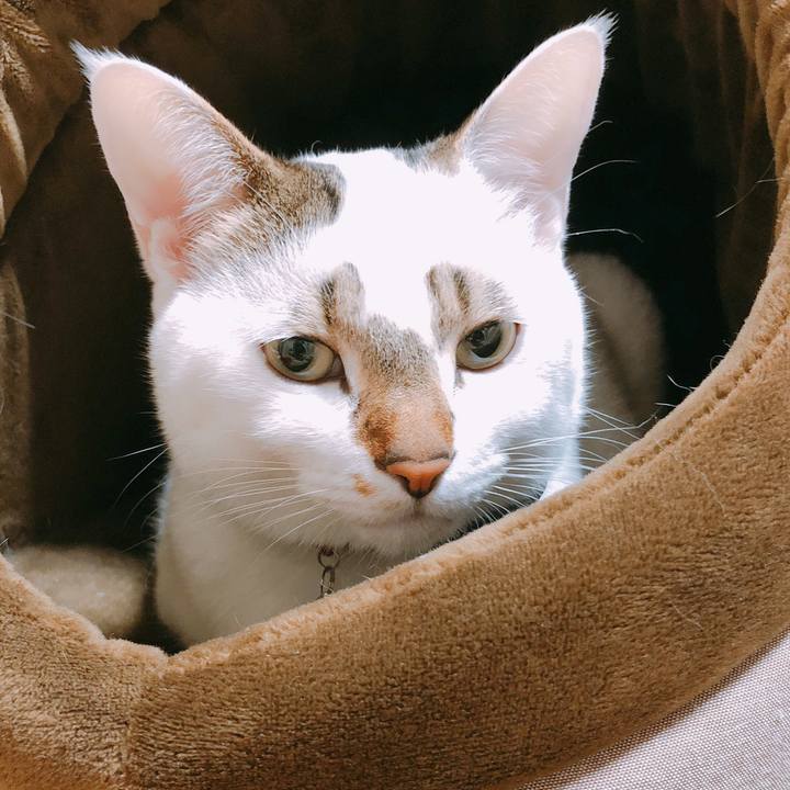 C00c9025 559a 4cef b56c a8ec4f9c1636 1517154685893