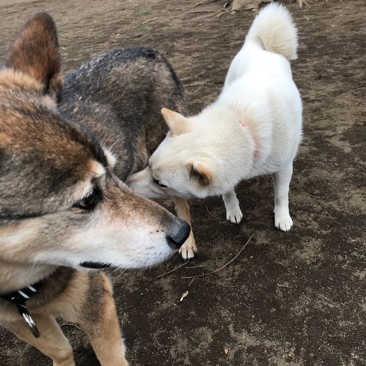 C00c9465 4d85 4d55 a579 1e05f1034585 1552213026770