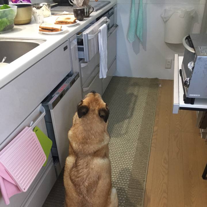 C00c9b72 684d 4e58 918f 7e97f0232c2b 1529122820763