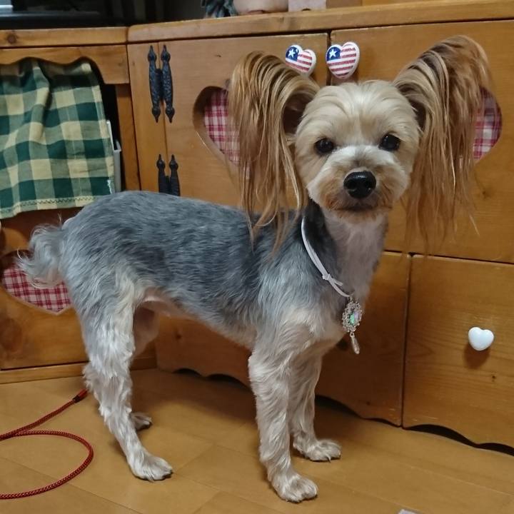 C00cbd9b 87cf 4f0e aa15 cb2b98d05014 1552982293001