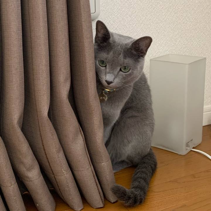 C00cd579 9b1f 466a 821a 483686309e82 1605348365545