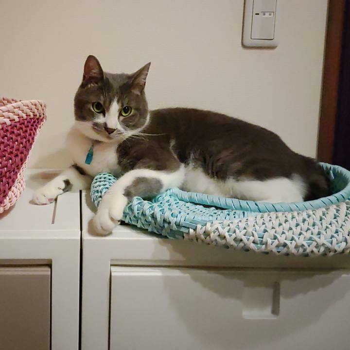 C00ce480 78a7 48f1 a80c bbd010ade7af 1654783143443