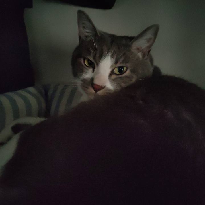 C00d0049 6c57 4f18 98b2 a378c0a2a82d 1654399252279